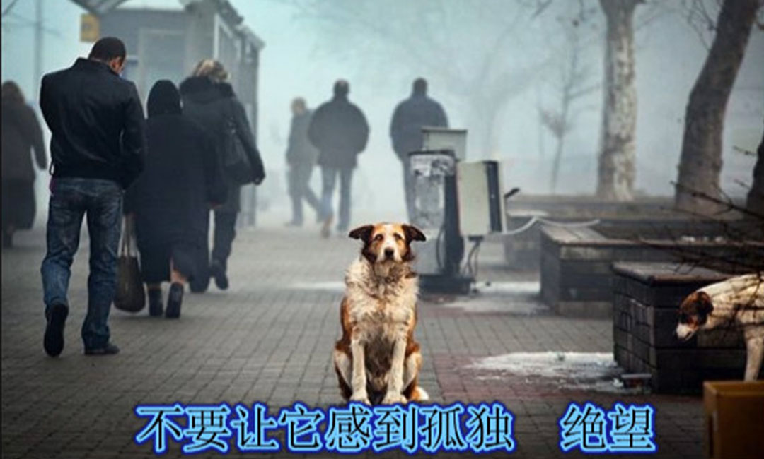营口营口爱影圈微博微信转发案例